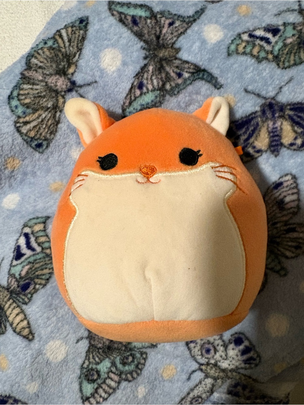 Plush Orange and Cream Small Pet Plush Toy